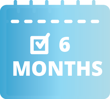 6-Month ROI